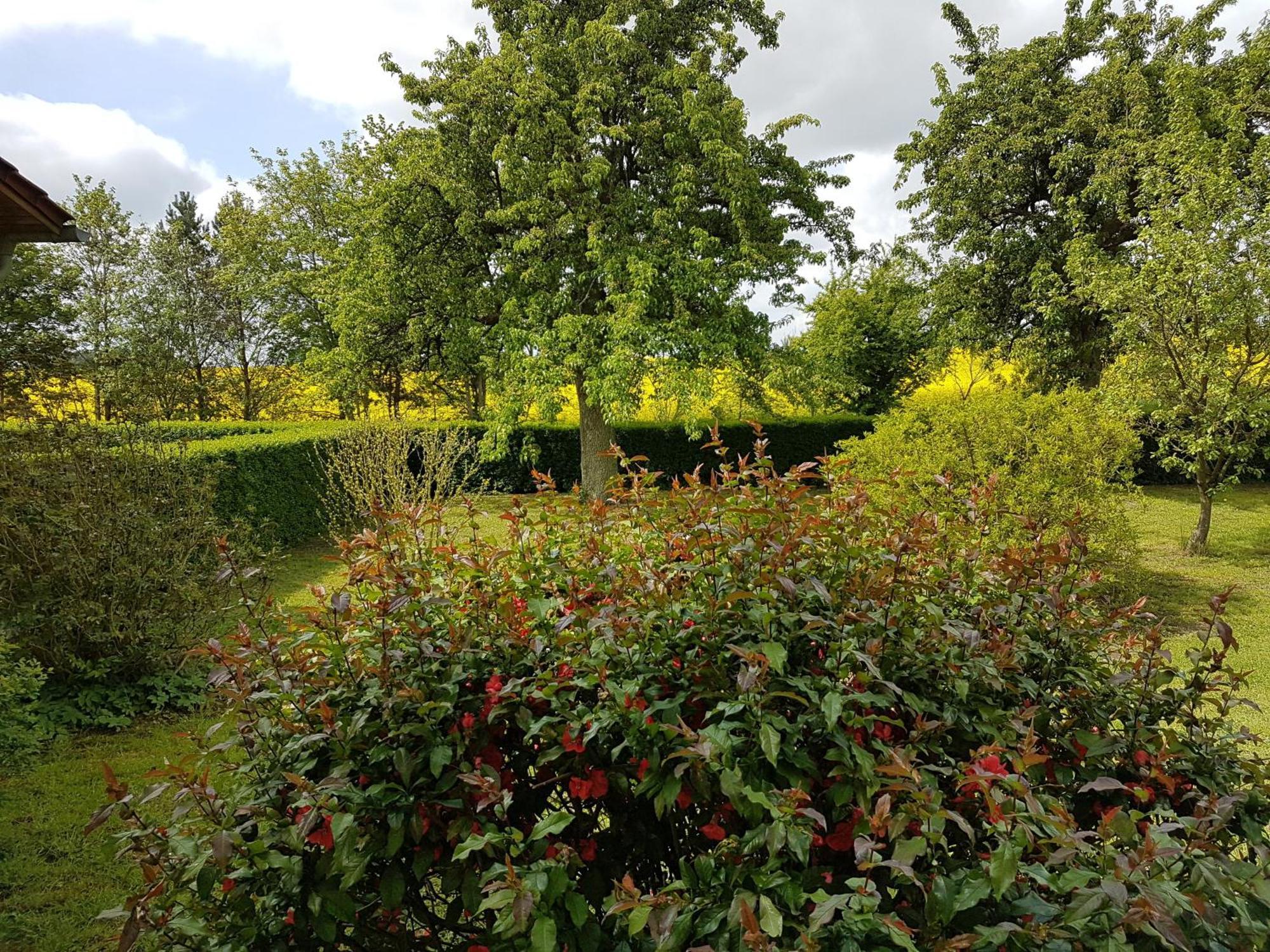 Ferienhaus Uckermark Casekow المظهر الخارجي الصورة