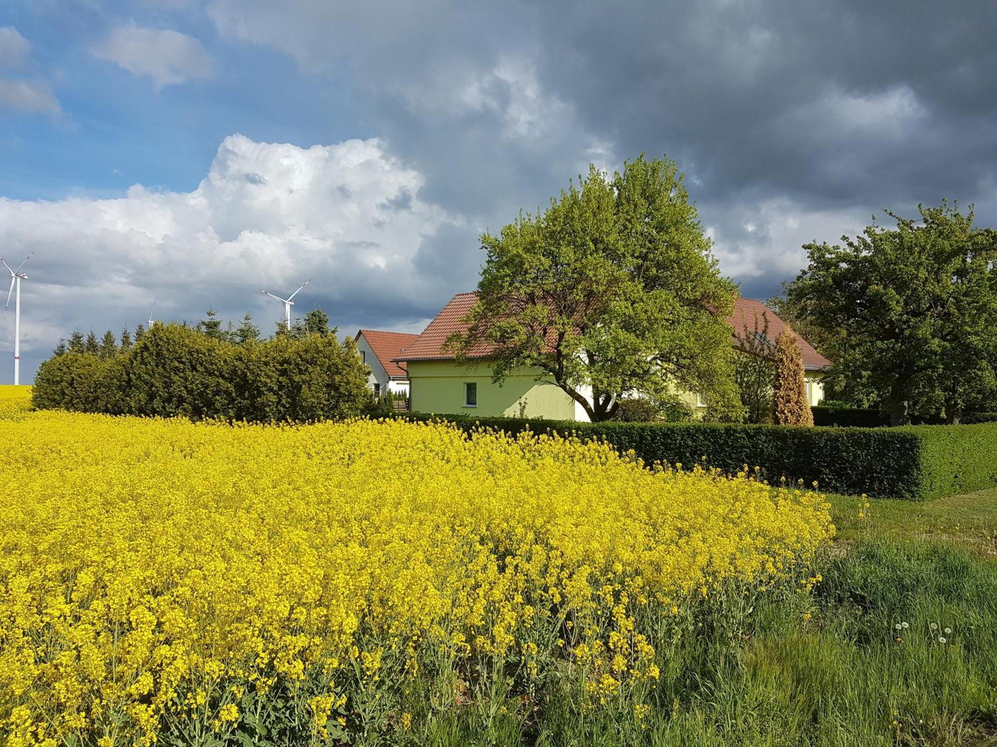 Ferienhaus Uckermark Casekow المظهر الخارجي الصورة